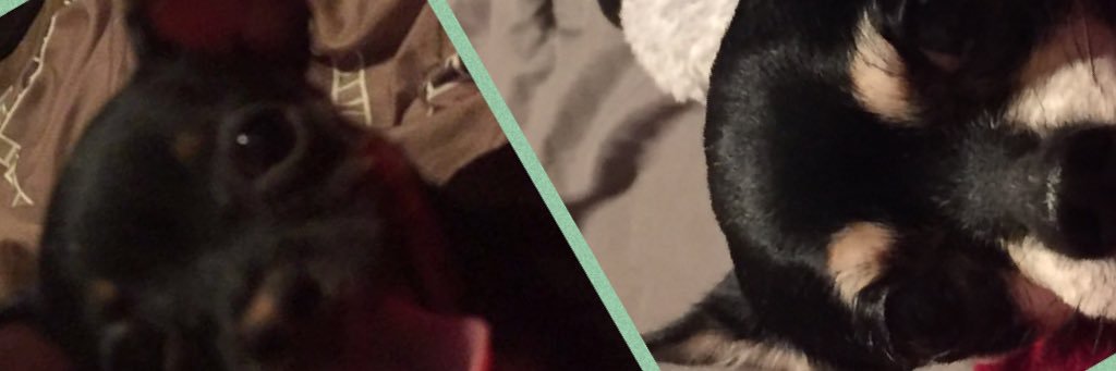 cmtz237's profile banner image