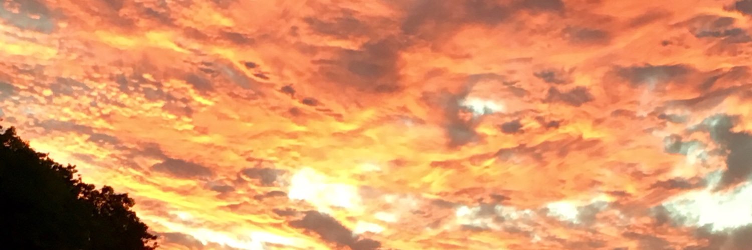 WomenTrumpmania's profile banner image