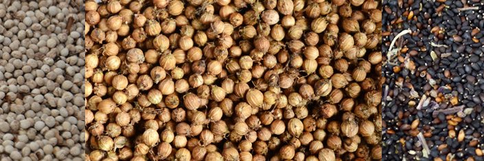 herb_harmony's profile banner image