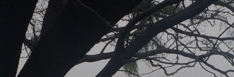 compaarmando's profile banner image