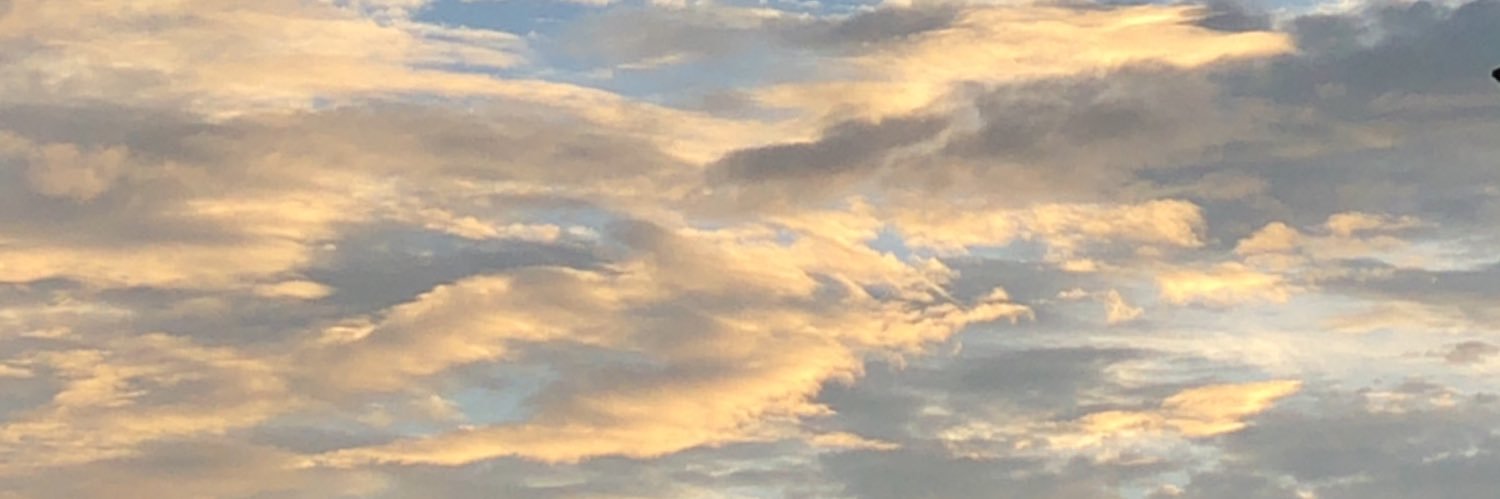 m_satsuki_'s profile banner image