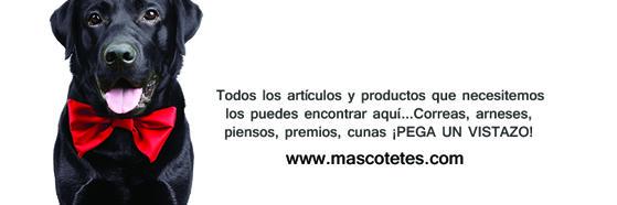 Mascotetes's profile banner image