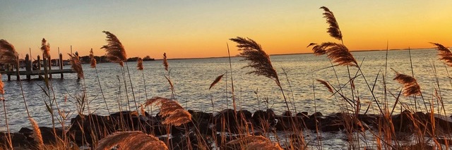 PaulMundey's profile banner image