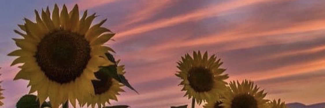 ahbeer_'s profile banner image