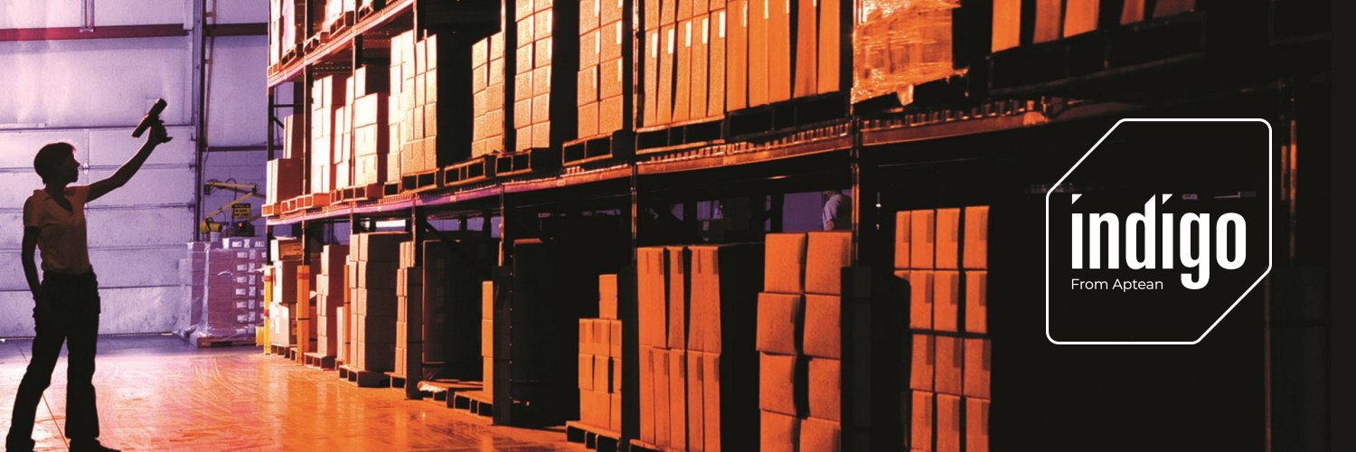 Indigo Software banner