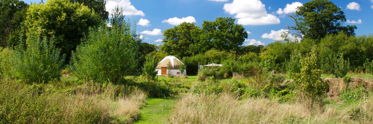 Bloomfieldcamp's profile banner image