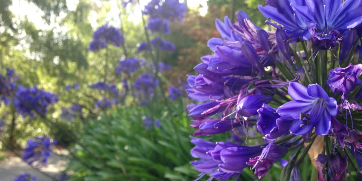 Sandra Higgison @ Genpact banner