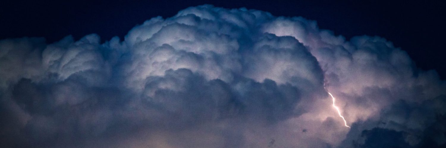 Bryan Harrison. banner