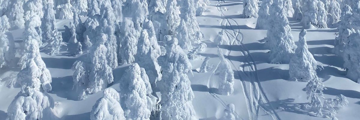 bobotwittwit's profile banner image