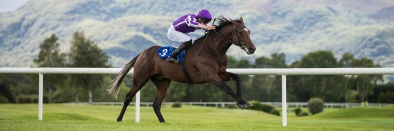 KillarneyRaces banner