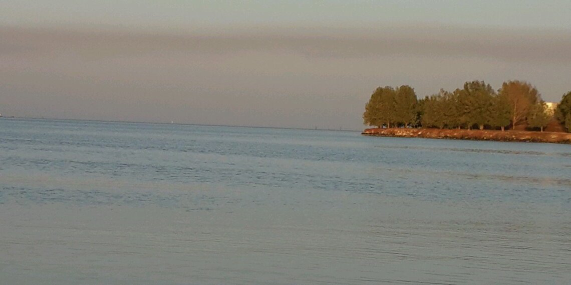 tala37037's profile banner image