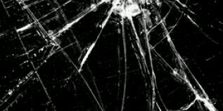 Dadee banner