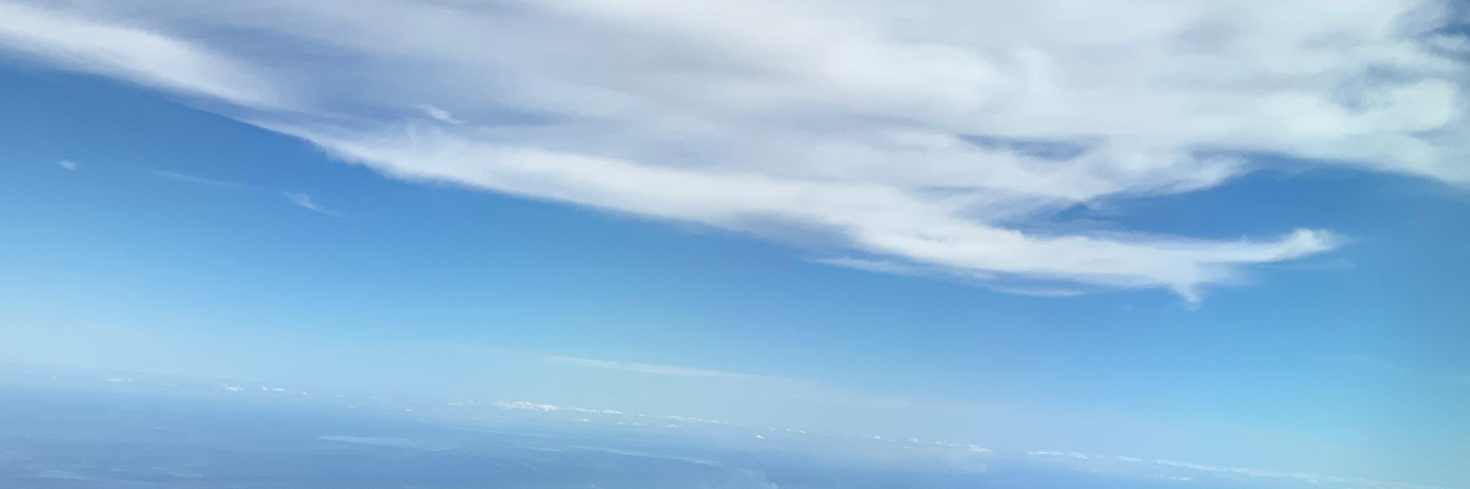 LavSula's profile banner image