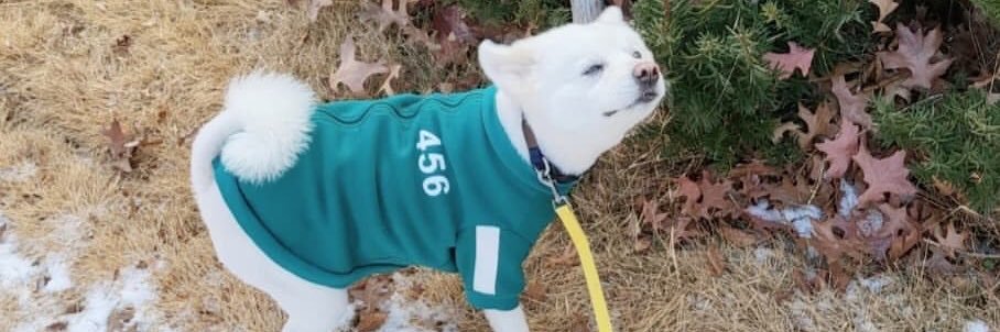 themmy15's profile banner image