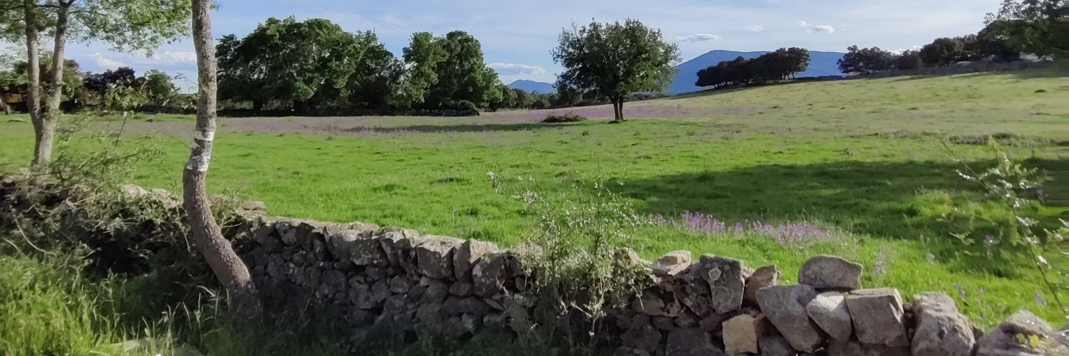 Sergio Fernández banner