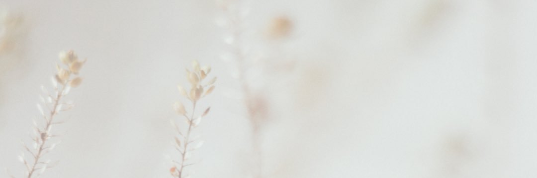 amiraaafr's profile banner image