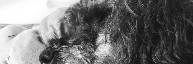 bullseye jason banner