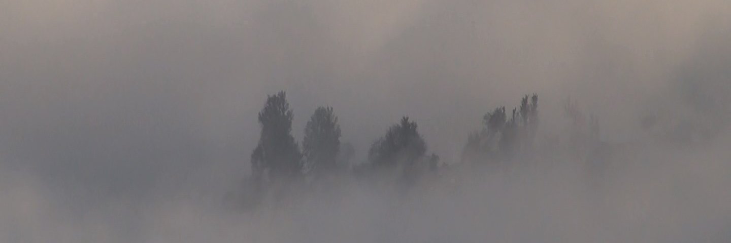 AliRk3's profile banner image
