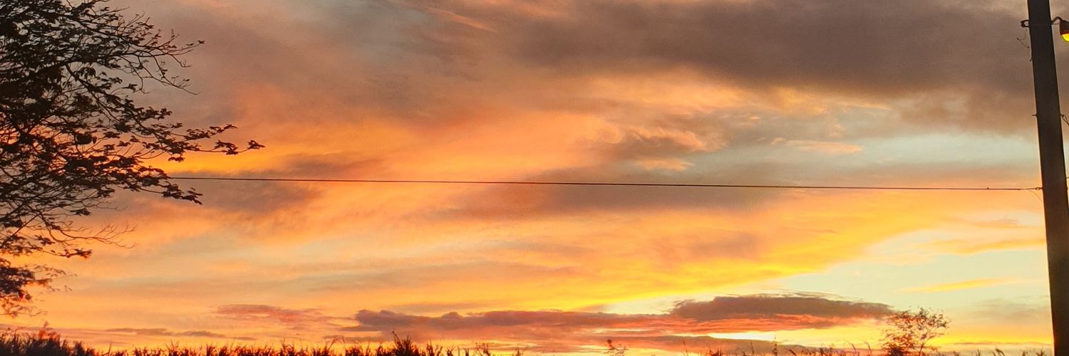 rowzuhlie's profile banner image