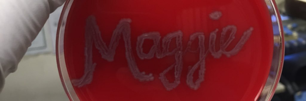 Maggie Monogue banner