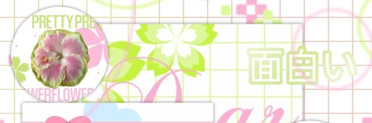 sea banner