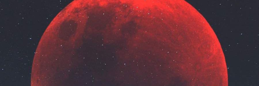 katelyn0__o's profile banner image