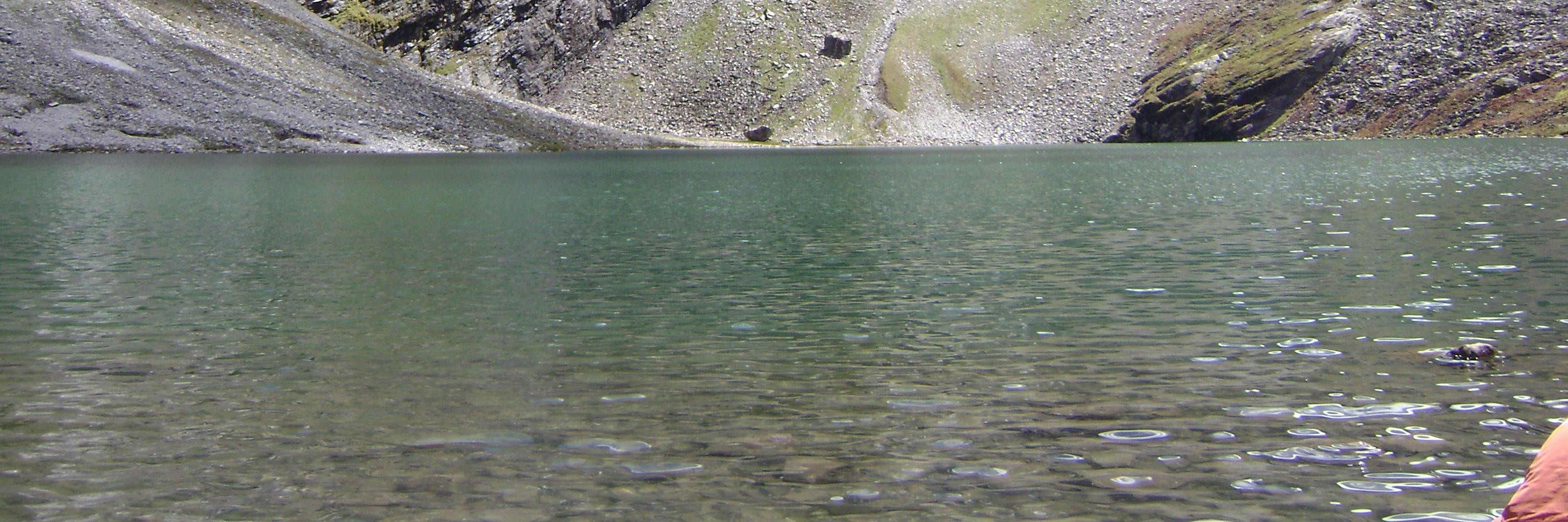 paljatinder78's profile banner image