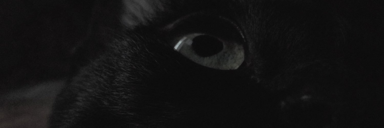 xoxobae___'s profile banner image