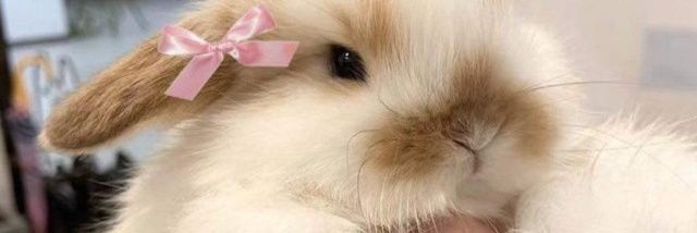 epade9's profile banner image