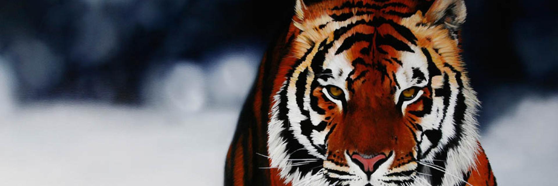 DiegoQPonce's profile banner image