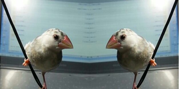yritto's profile banner image