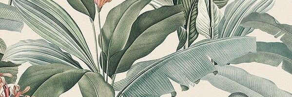 fernandes_marci's profile banner image