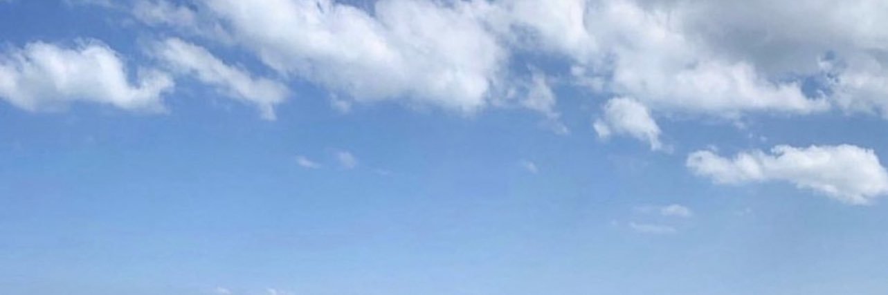 Sosa_aln's profile banner image