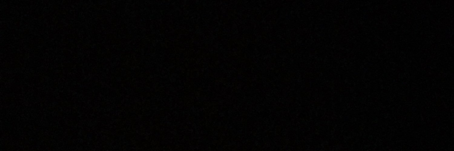 ZandyDavis's profile banner image