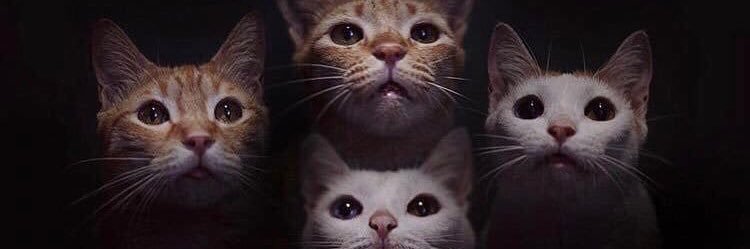 kristendc_'s profile banner image