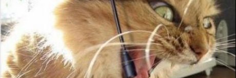 BiancaYTb's profile banner image
