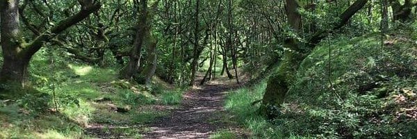 StalybridgeTown Profile Banner