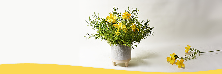 Twitter banner for @centerpieces