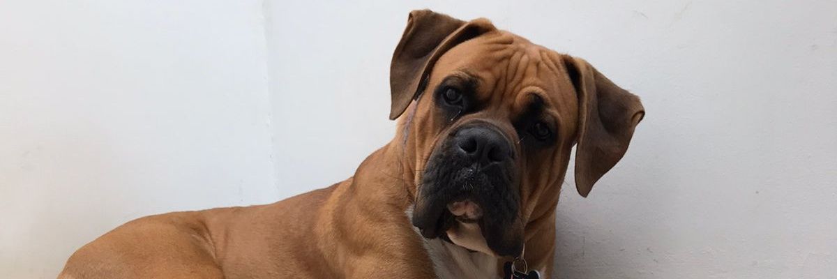 Ale_Solis89's profile banner image