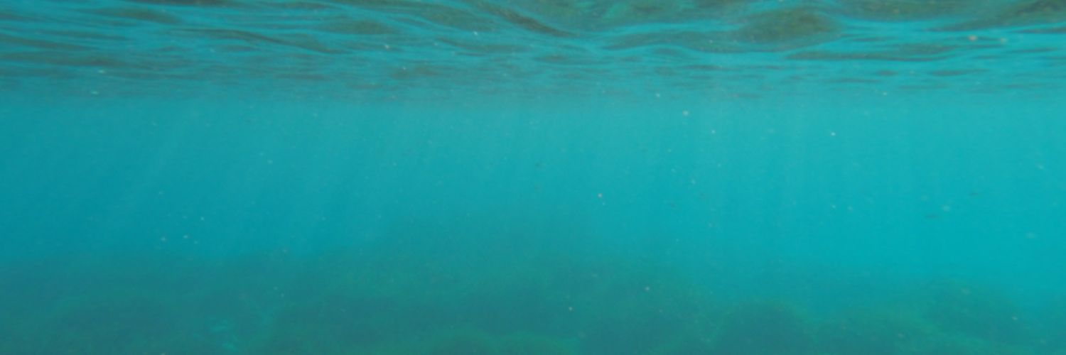 JuditVill's profile banner image