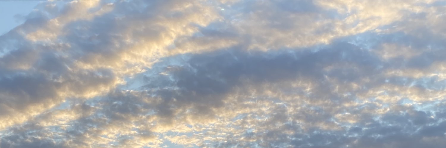 AmedAvila's profile banner image