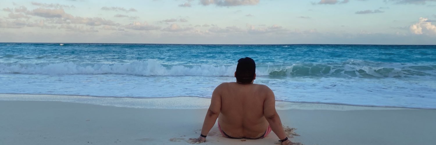 nelrojas's profile banner image