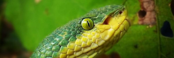 kaushal143all Profile Banner