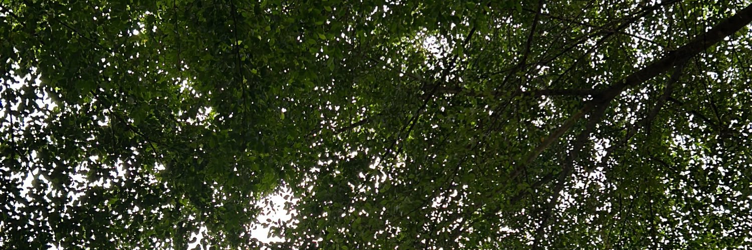 Dmsandryanto's profile banner image