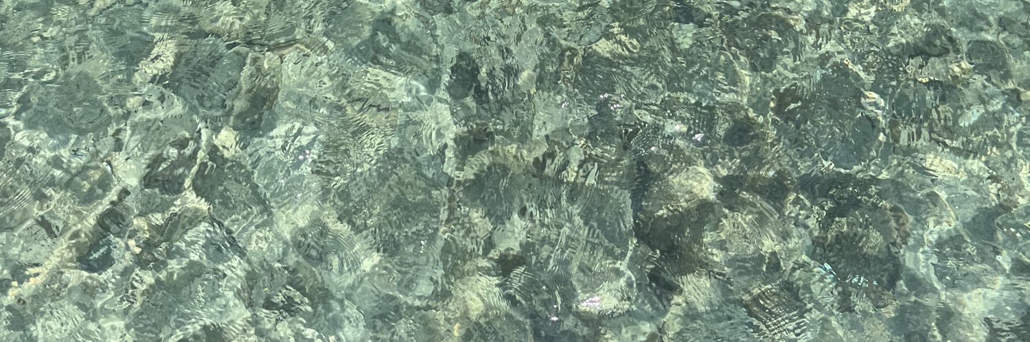 rutedgil's profile banner image