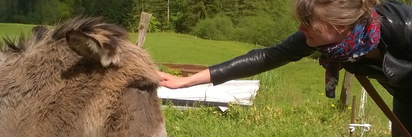 Elsa Delanoue banner