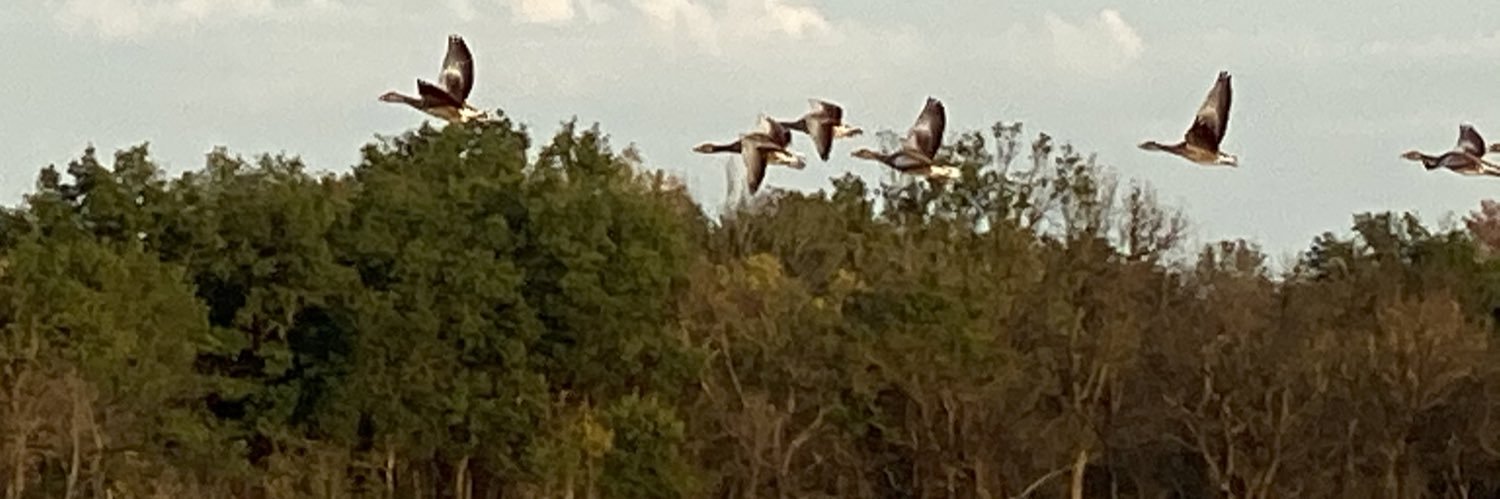 Stephan Ehrmann banner