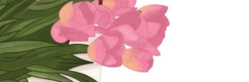 leasmess's profile banner image