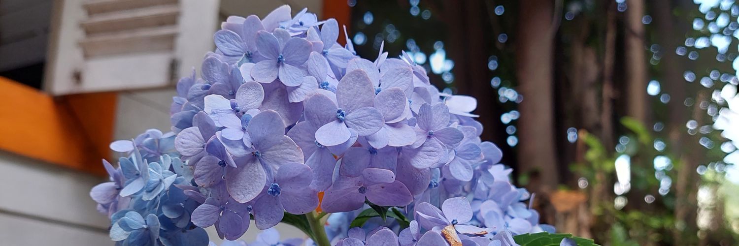 sr_rhmyyn16's profile banner image