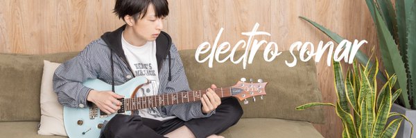 エレクトロソナー(ex.熊本克哉) Profile Banner